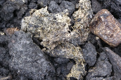 Asbestos in soil: unlike many other substances there is no standard way of assessing risks (photograph courtesy of VSD Avenue)