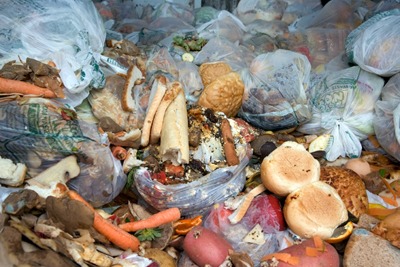 EU wastes 90 million tonnes of food a year, according to House of Lords' inquiry (photograph: WRAP)