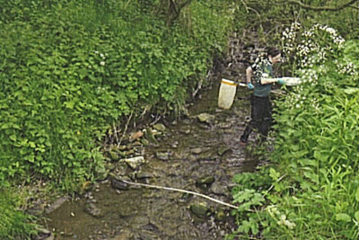 The Kyo burn in County Durham was polluted with sewage (credit: Environment Agency)