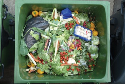 Europe wastes 90Mt of food each year (photograph: Foerster)