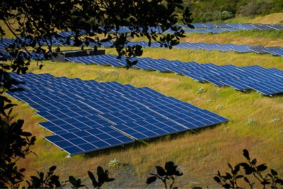 Biodiversity plans for solar farms would boost wildlife and contribute to national biodiversity targets (credit: Michael Mees, CC by SA 2.0)