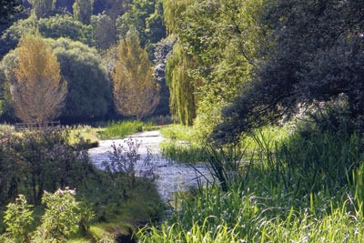 The Water Act will help adress damaging abstraction. Credit: Peter aka Anemone Projectors/CC BY 2.0