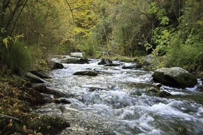 River (photograph: Paco Ayala/123RF)