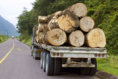 Trucking timber from the Amazon over the Andes in Ecuador (photograph: Morley Read/123RF)