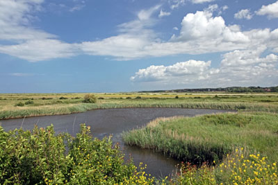 Landfill taxes are helping fund flood defence projects such as saltmarsh restoration (photograph: Ian Langley/123RF)