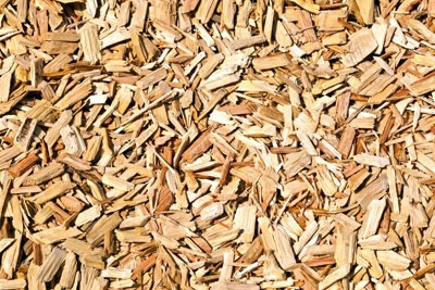 Sawmill residues have low carbon rating (photograph: Joerg Hackemann/123RF)