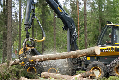 A tree harvester takes less than a minute to fell and strip a Scots pine at Metsä Wood's sustainable timber operation 250km north of Helsinki (photograph: B&Q)