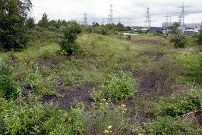 Oliver Road Lagoons, a disused power station in Thurrock that now supports more than 1,300 wildlife species (photograph: S Falk)