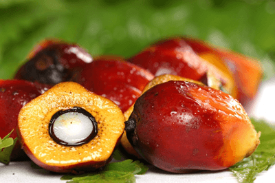 The majority of companies see sustainable palm oil as a boon to business rather than a risk (photograph: RSPO)
