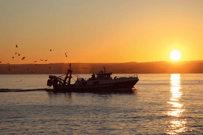 Fishing boats (photograph: Philipus/123RF)