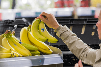 Sainsbury's bananas are only sourced from Fairtrade suppliers (photograph: Andy Wilson)