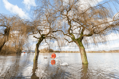 Draft flood risk management plans have been prepared for England and Wales (photograph: Steve Mann/123RF)