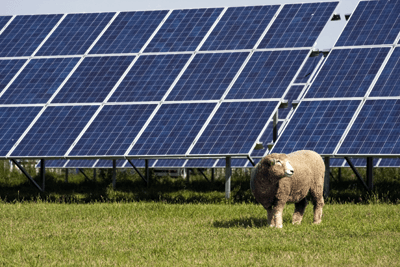 Fields covered with solar farms will not be elibible for CAP subsidies from January (photograph: Pista23/123RF)