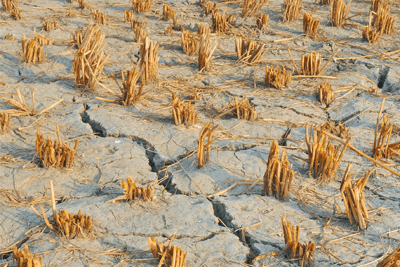 Water scarcity in other parts of the world affect UK firms in sectors such as food (photograph: S4Sanchita/123RF)