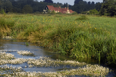 River Itchen (photograph: WWF)