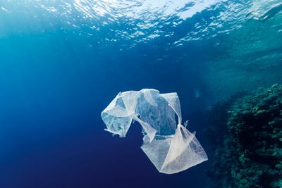 Plastic bag floating in the sea