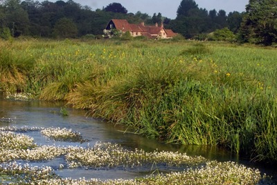 River Itchen Photo: WWF