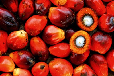 Unilever:100% traceable palm oil pledge