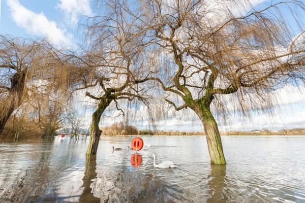 Flood water Photo:Steve Mann 123rf