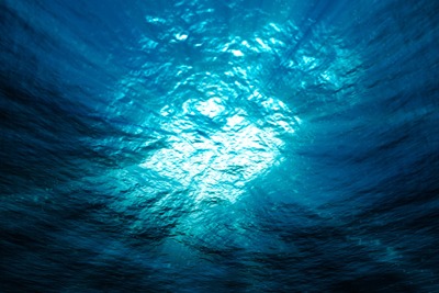 Phytoplankton living in the ocean surface 'sink' atmospheric CO2 (credit: Sergiy Lukutin/123rf)