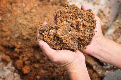 SEPA is consulting on BAT and emission values for composting in Scotland (photograph: A. Singkham/123RF)