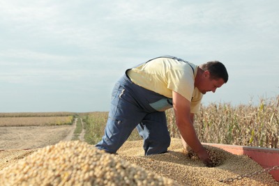 RTRS is targeting 10 million tonnes of responsible soy by 2017 (photograph: Sima/123RF)