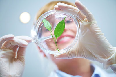 FERA provides scientific services to government and commercial customers, such as food retailers and manufacturers of crop protection products (photograph: Yanlev/123RF)