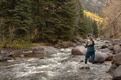 (photograph: James Steidl/123RF)