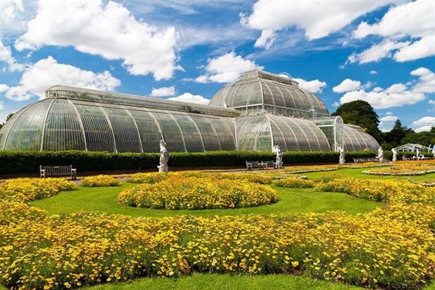 Stop-start funding 'risks eroding Kew’s value and effectiveness', according to the Royal Society (photograph: Karel Miragaya/123RF)