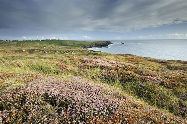The National Trust manages 742 miles of coastal land and says climate change is its largest threat (photograph: National Trust)