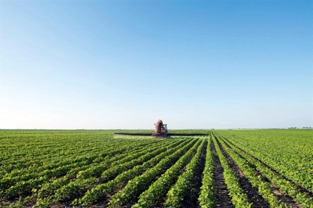 Endocrine disruptors in pesticides may be costing the economy €129bn a year (photograph: Dusan Kostic/123RF)