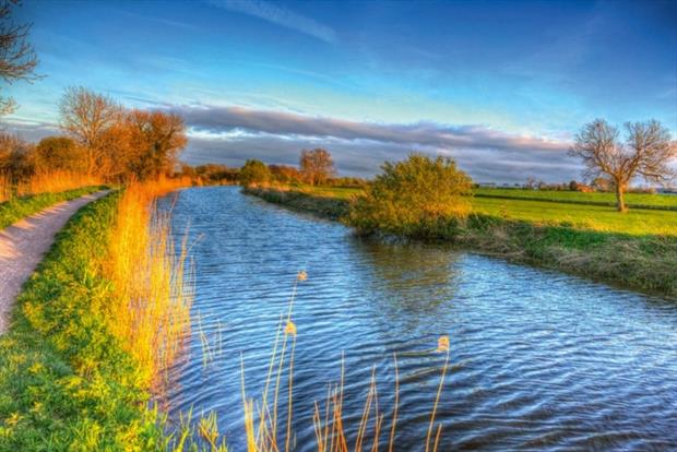Phamaceutical pollution in the environment is causing alarm (photograph: Mike Charles/123RF)