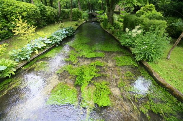 New data shows fewer rivers were in good condition in 2012-13 than the previous period (photograph: Jiri Rezac/WWF-UK)