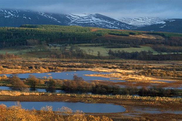 The Insh Marshes in Scotland act as a natural flood defence for Aviemore and surrounding towns (photograph: Mark Hamblin/RSPB)