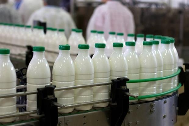 Dairy Plant Conveyer Belt