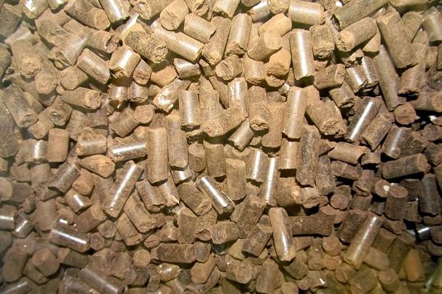 The sourcing of wood pellets used for ROS-supported biomass plants will be more stringent as of October 2015 (photograph: Ryszard Parys/123RF)