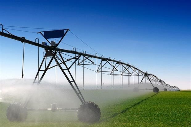 Spray irrigation (photograph: Cecilia Lim/123RF)