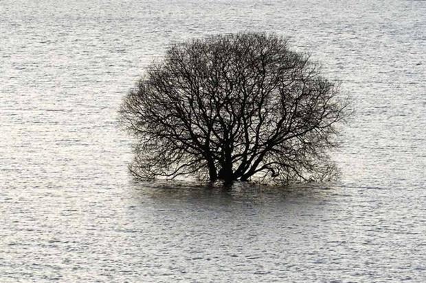 SEPA's flood strategy aims to look forward (photograph: David Woods/123RF)