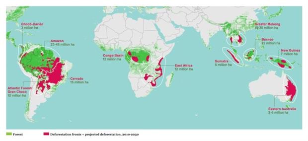 WWF deforestation map