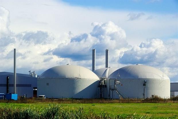 Energy crops usage in AD increased by 60% in 2014 (photograph: lianem/123RF)