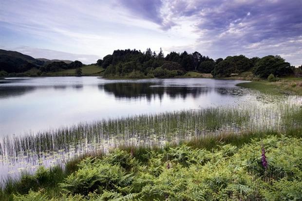 Critics of NRW had doubts about its ability to protect Welsh landscape and wildlife (photograph: Matthew Gibson/123RF)