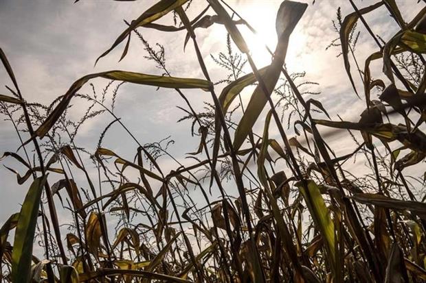 Only 15% of major investors are adequately taking climate change into account (photograph: berlinimpressions/123RF)