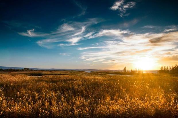 Wetlands are in decline despite providing valuable ecosystem services (photograph: 高 山山/123RF)