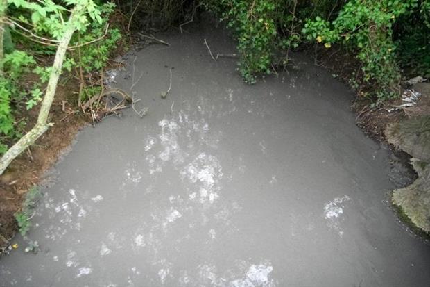 A member of the public reported the brook's 'heavily discoloured' water to the Environment Agency (photograph: Environment Agency)