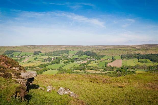 The North York Moors (photograph: Hartmut Albert/123RF)