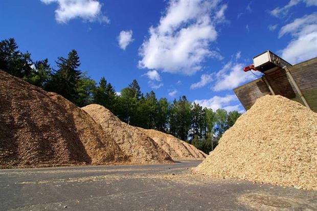 Sustainability criteria for biomass and biogas under the RHI scheme will come into force in October (photograph: Andrei Merkulov/123RF)