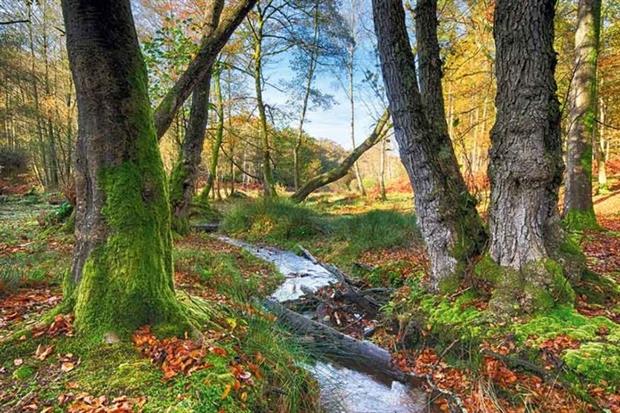 EA urged to safeguard small water bodies (photograph: Helen Hoston/123RF)