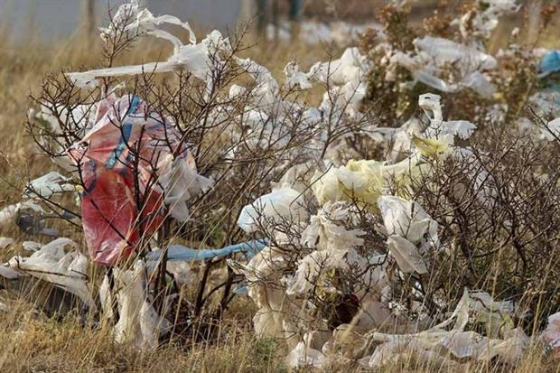 The number of single-use plastic carrier bags in use has dropped by 71% in Wales (photograph: Aleksej Orel/123RF)