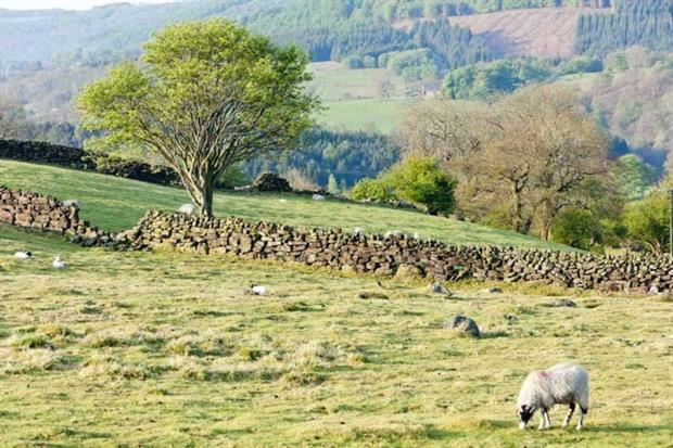 The bulk of blocks earmarked for exploration are in environmentally sensitive areas such as the North York Moors national park (photograph: Richard Semik/123RF)