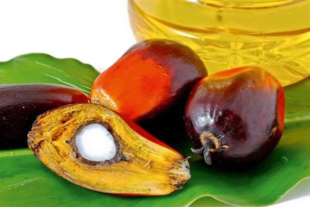 Forum tackles palm oil in consumer goods (photograph: Nui7711/123RF)